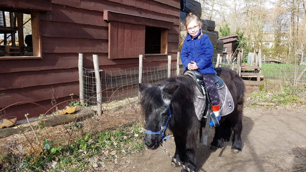 Pony ritje op de kinderboerderij