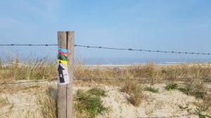 duinenmars met een peuter