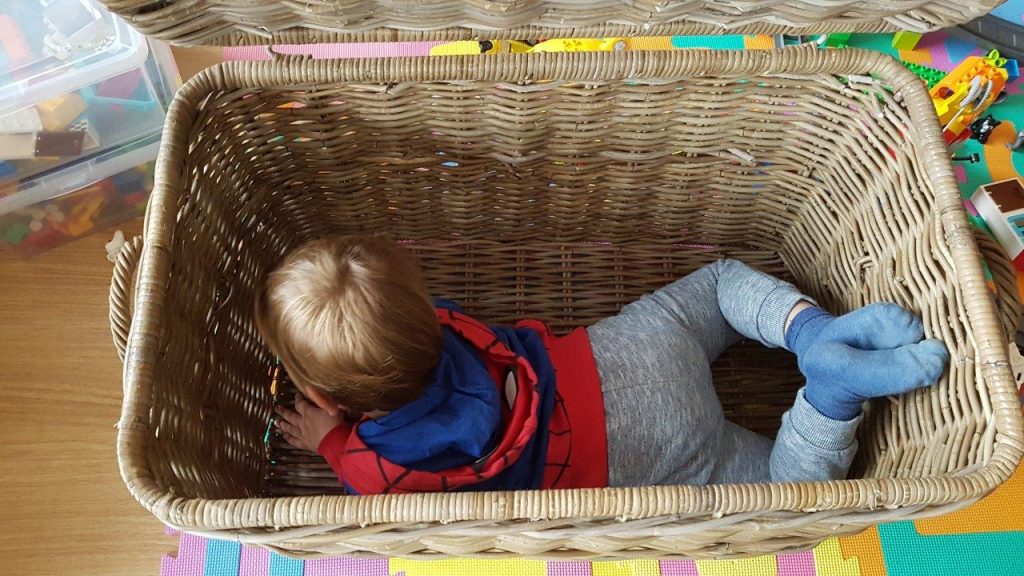 smaak Direct Pennenvriend Opbergmand voor speelgoed - een musthave bij kinderen