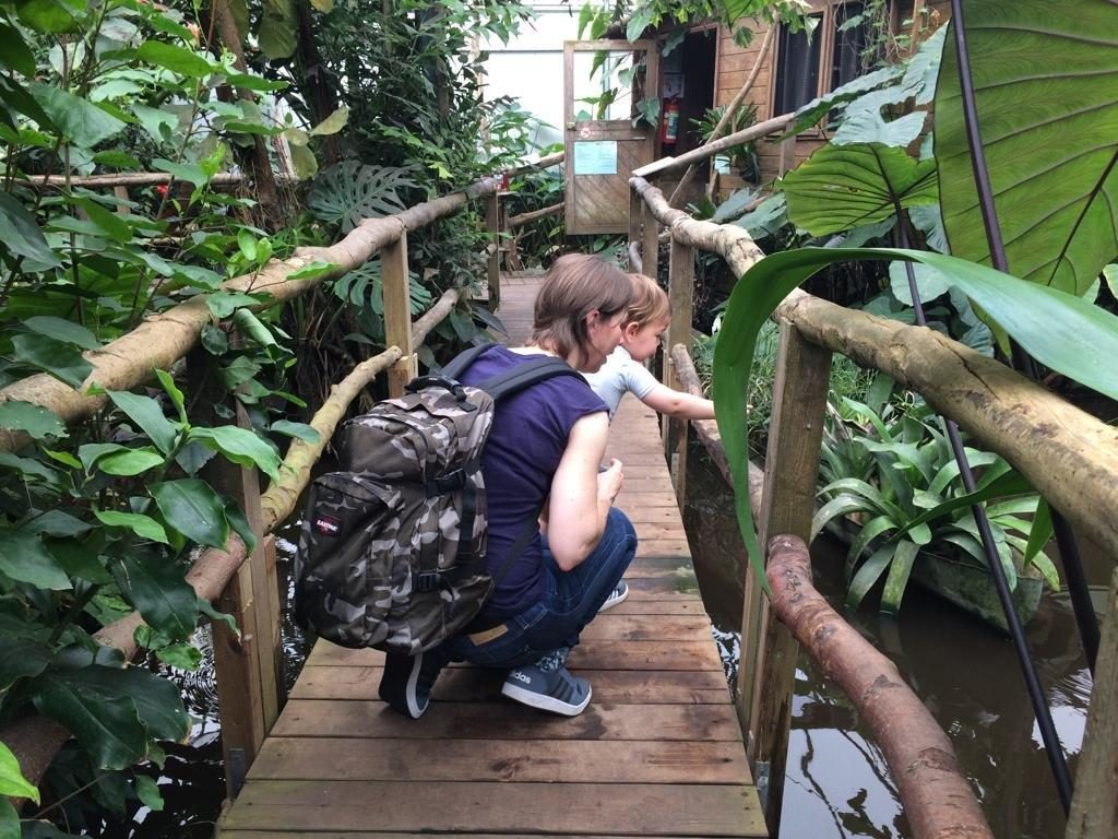  review uitstapje met kinderen vlindertuin omgeving Den Haag