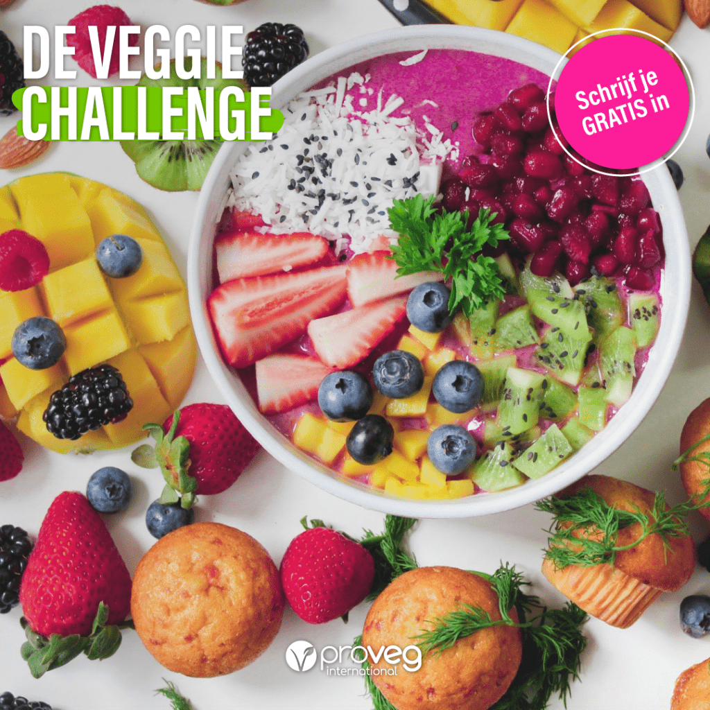 veggie challenge proveg