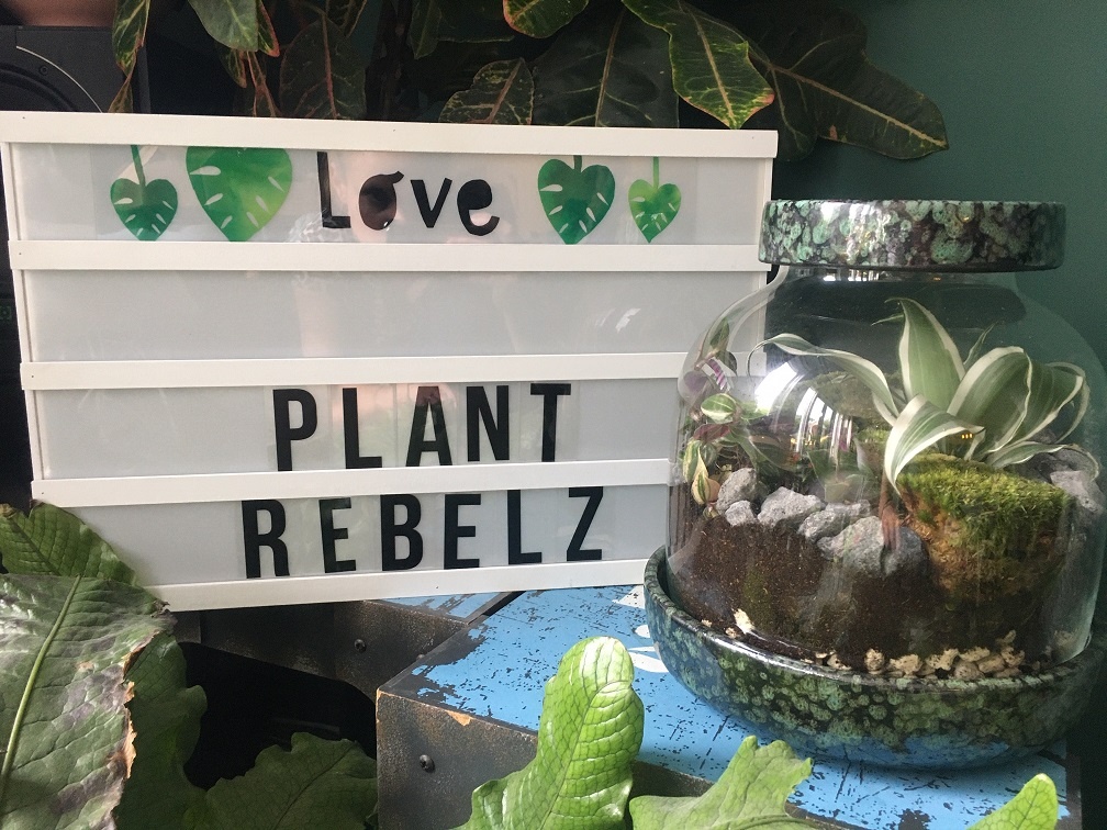 plant rebelz