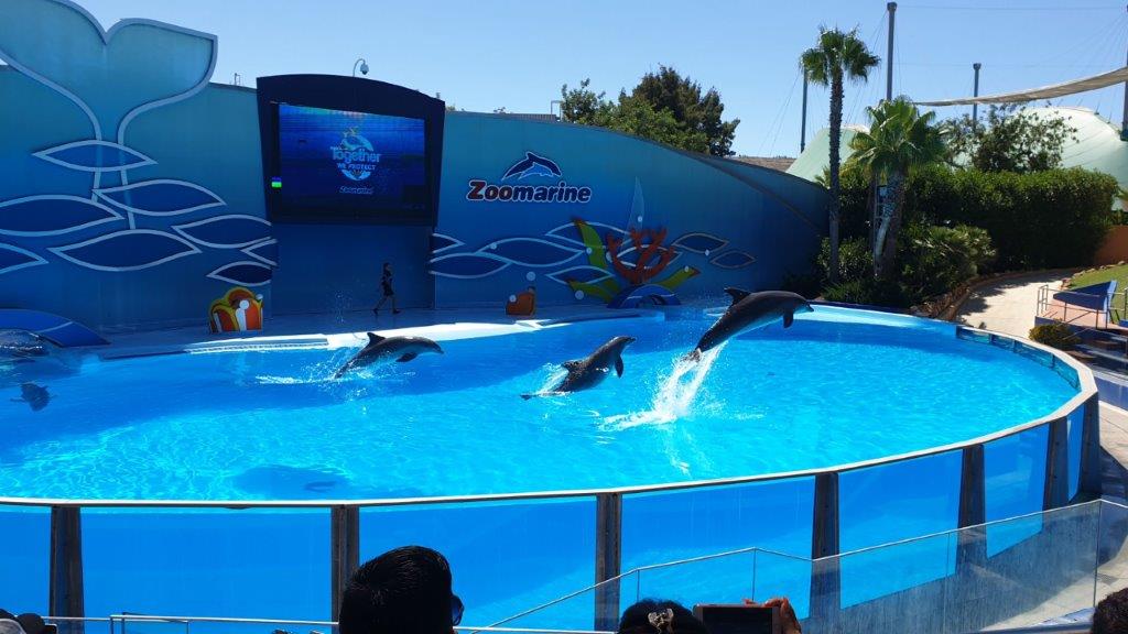 Zoo Marine Dolfinarium Portugal Dolfijnen show 