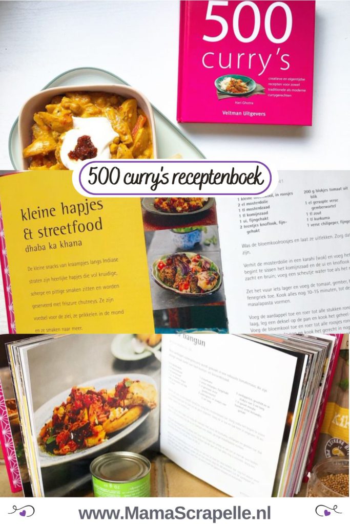 500 currys receptenboek