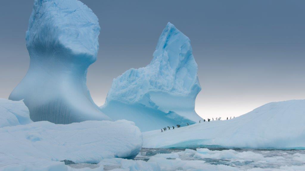 BBC Earth’s Antarctica