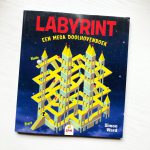 Labyrint een mega doolhovenboek