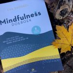 Mindfulness Doeboek