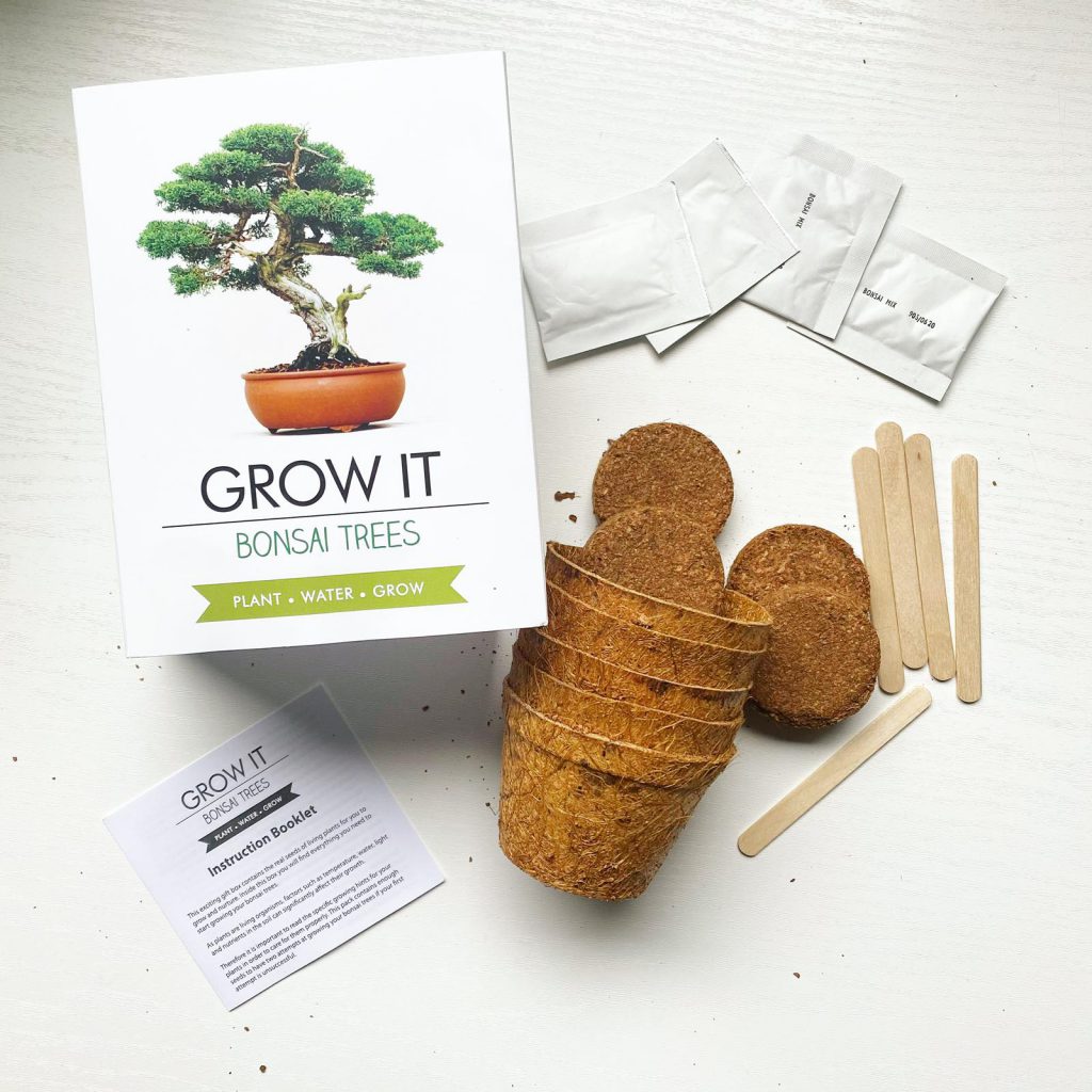 bonsai boom kweken Duurzame cadeautips die betaalbaar zijn. diverse lijst met cadeaus rond de 20 euro. Er zit zeker weten een duurzaam cadeau bij