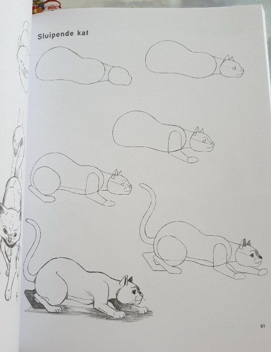 jaaroverzicht handboek dieren tekenen