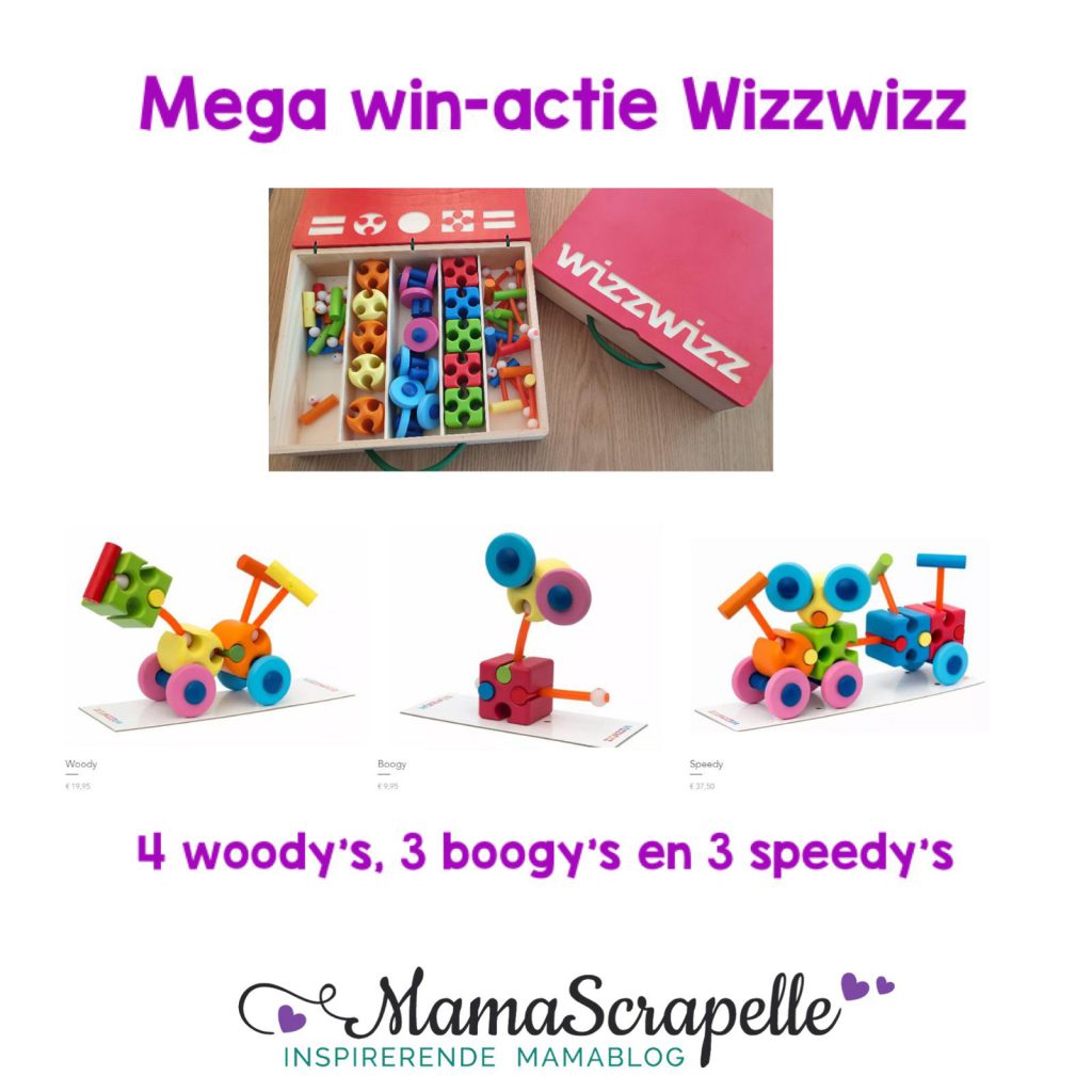 wizzwizz duurzaam houten speelgoed