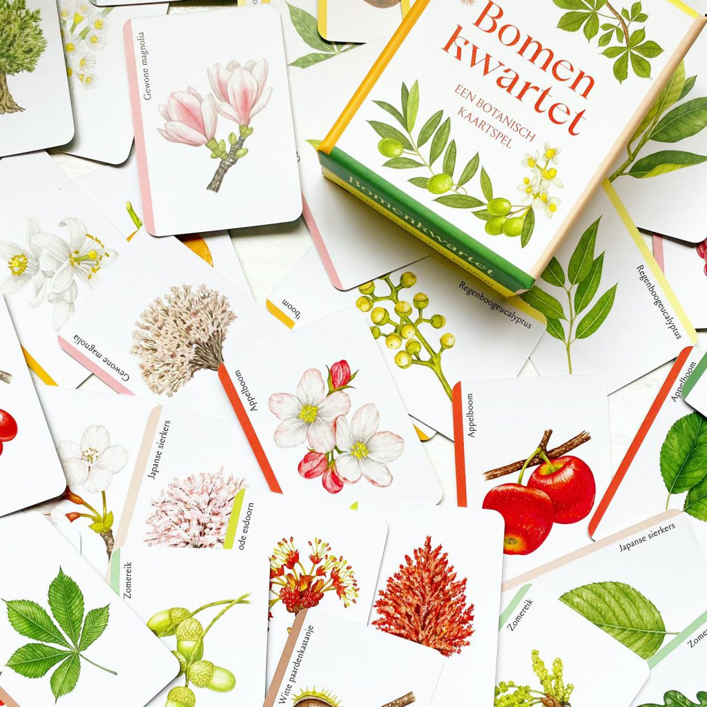 Bomenkwartet, een prachtig botanisch kaartspel