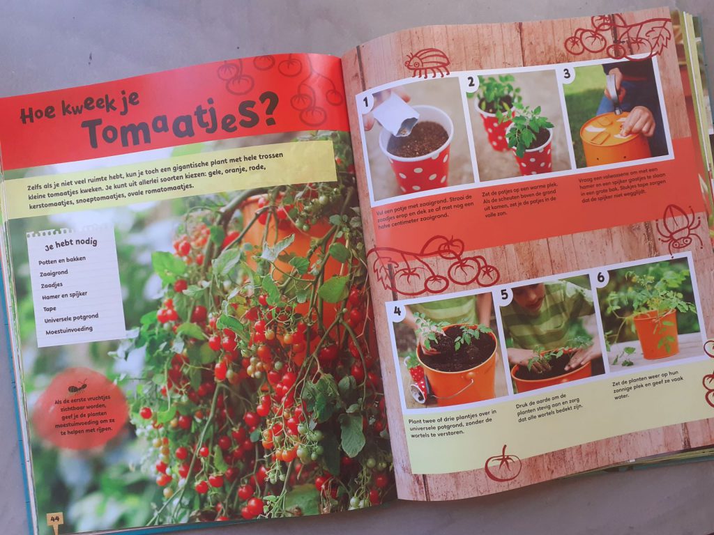 groente recepten tomaatjes
