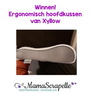 Xyllow hoofdkussen