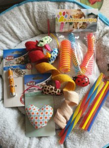 kattenveertjes kattenspeeltjes