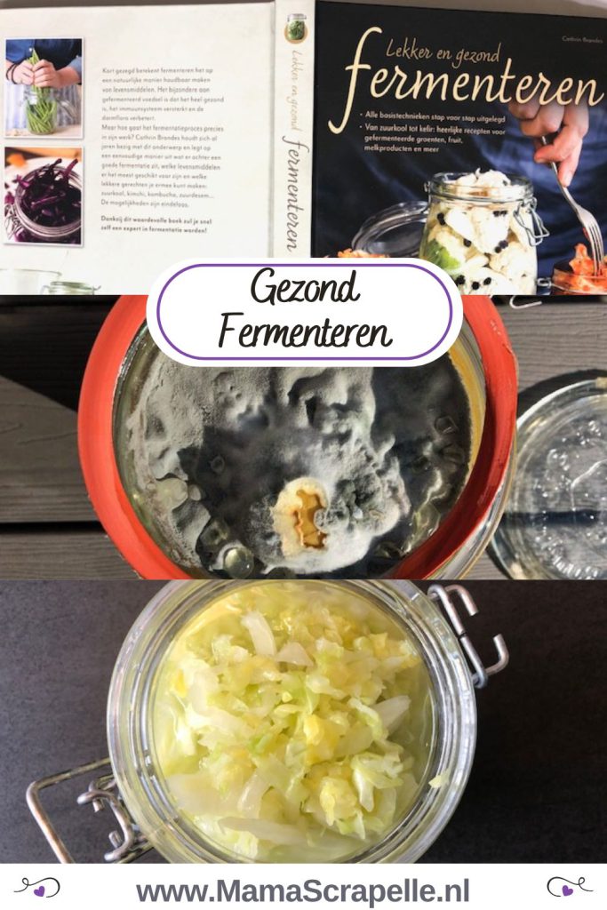 gezond fermenteren