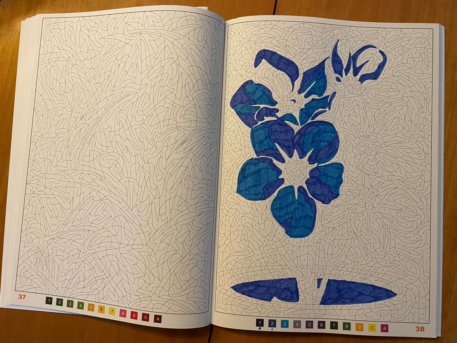 Kleuren op nummer volwassenen bloemen – een ontspanning
