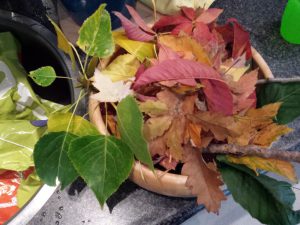 Herfst Herfst wat heb je te koop