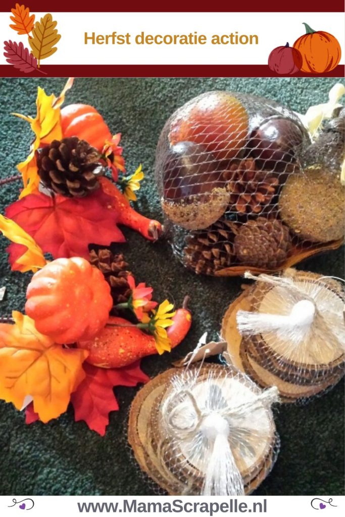 herfst decoratie action
