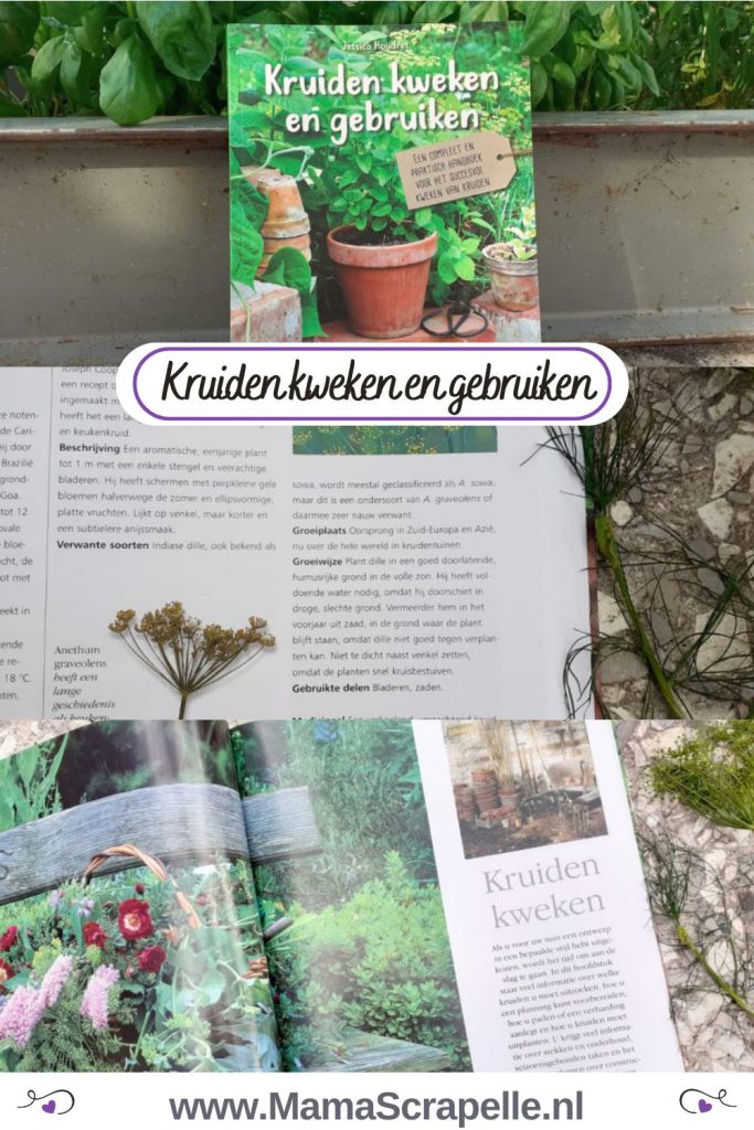 kruiden kweken en gebruiken