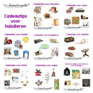 leukste cadeaus voor huisdieren