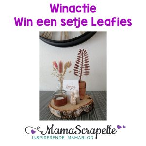 winactie