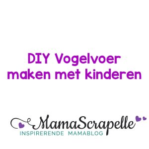 diy vogelvoer maken met kinderen