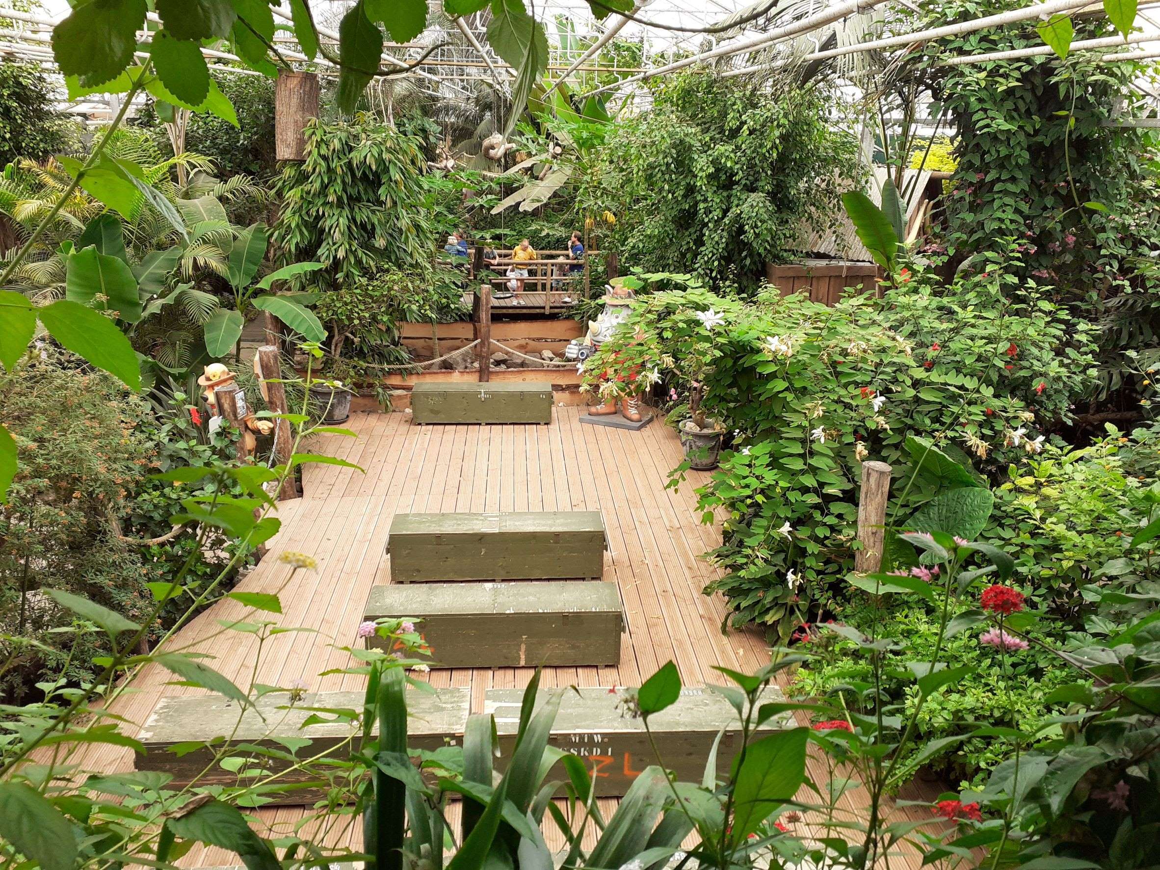 Berkenhof tropical zoo jungle overzicht