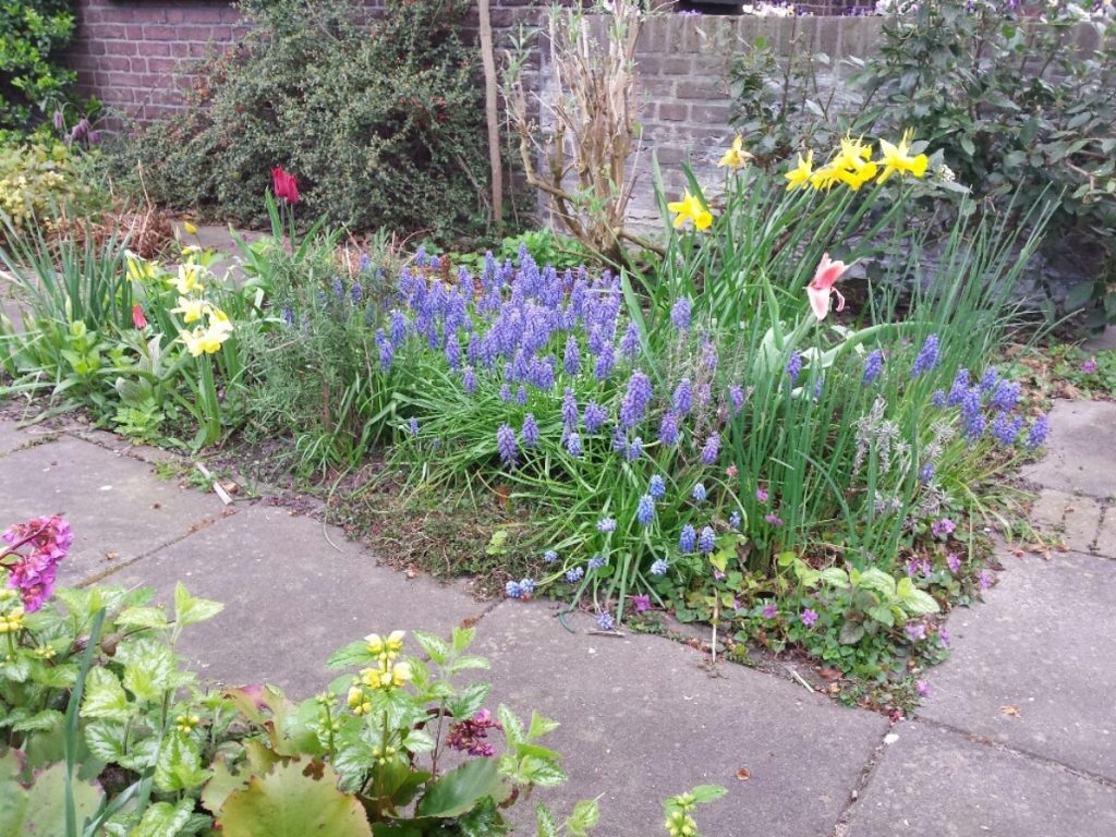 buitenlesdag plantjes en bloemen