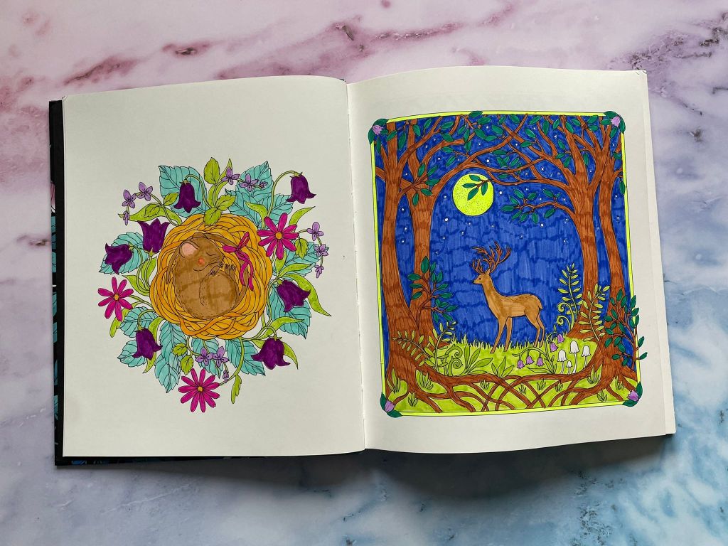 Het leukste mooiste kleurboek voor volwassenen? Ontspannen kleuren met stiften, potloden en alcoholmarkers in de mooi kleurboeken!