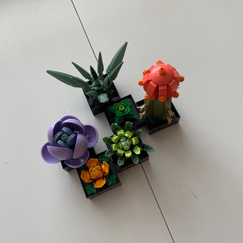 LEGO Botanical Collection is een serie voor volwassenen mooie natuurlijke planten en bloemen nabouwt! lego bloemen collectie