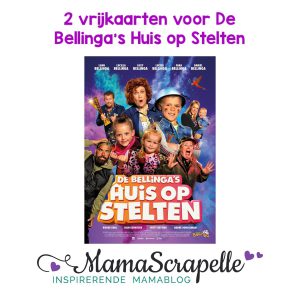 De Bellinga's: Huis op Stelten