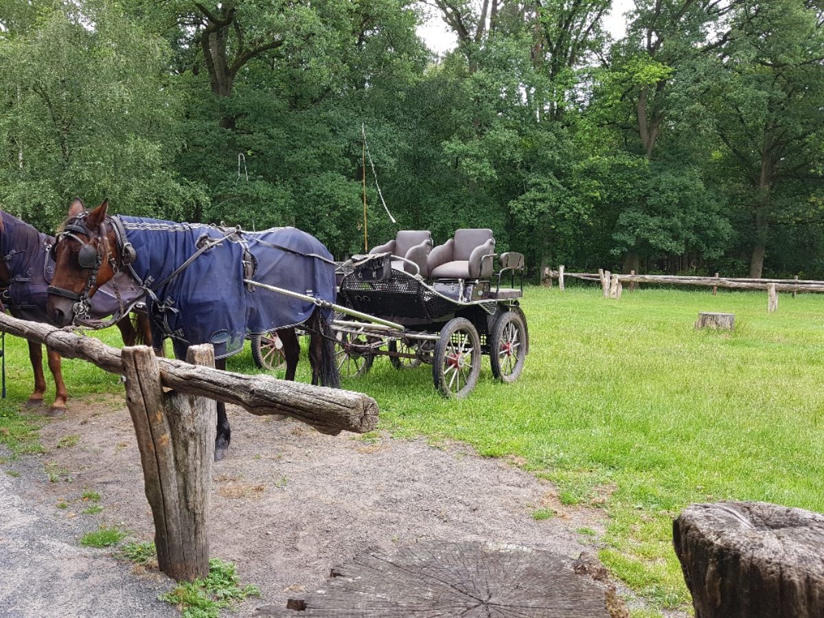 Naar een vakantiepark gaan zonder suptropisch zwembad dat is saai.. toch? Wij gingen naar Summio Duc de Brabant benieuwd hoe wij het hadden?