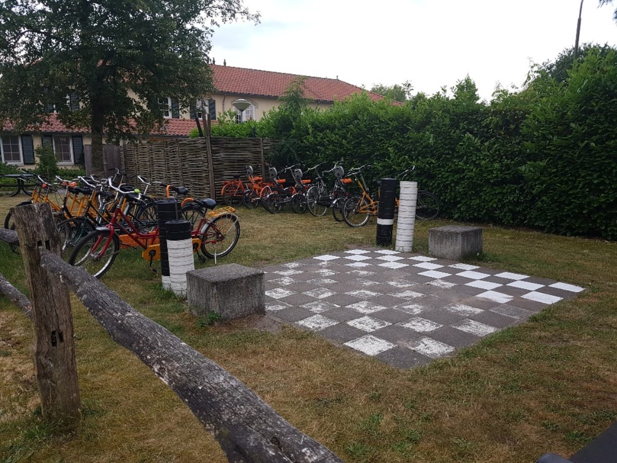 schaken