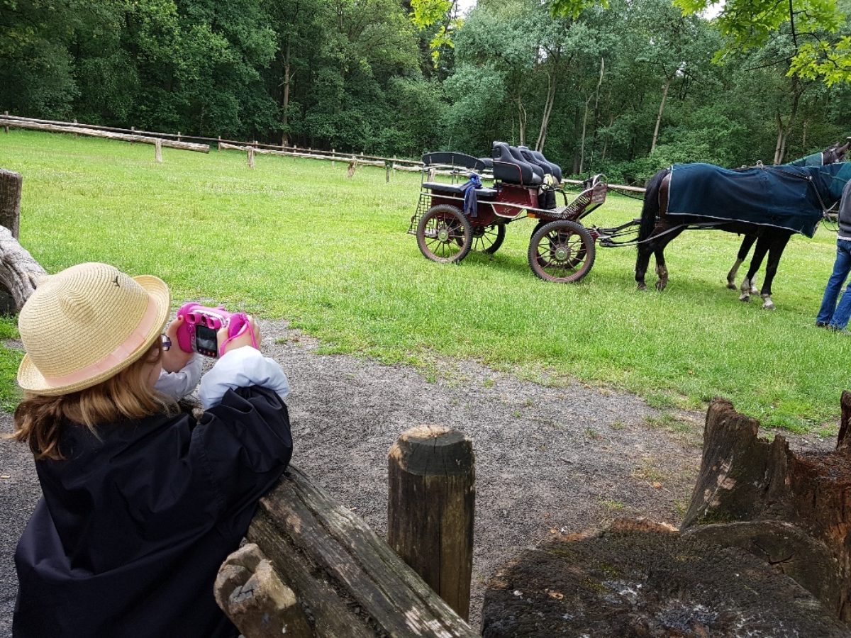 meisje maakt foto van paard
