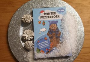 Winter puzzelboek