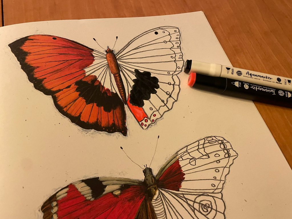 Vlinders tekenen, krabbelen en kleuren met Carll Cneut