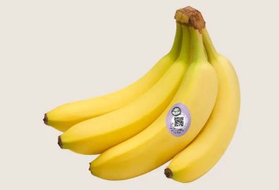 i am organic biologische bananen