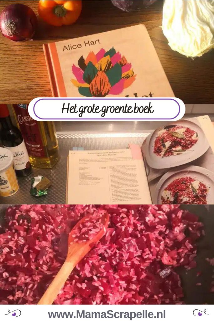 het grote groente boek