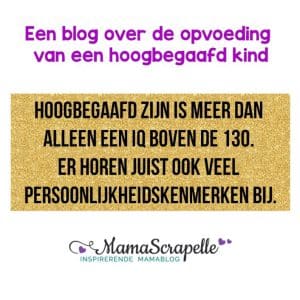 Opvoeding hoogbegaafd kind