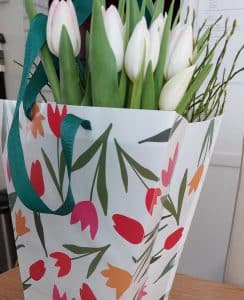 witte tulpen