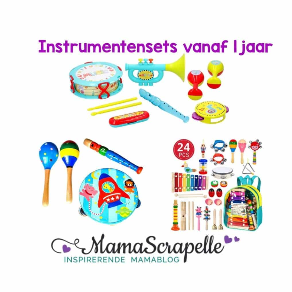 instrumentensets . muziek vanaf 1 jaar om samen mee te spelen en te varieren in het muziekinstrument. cadeautip baby peuter