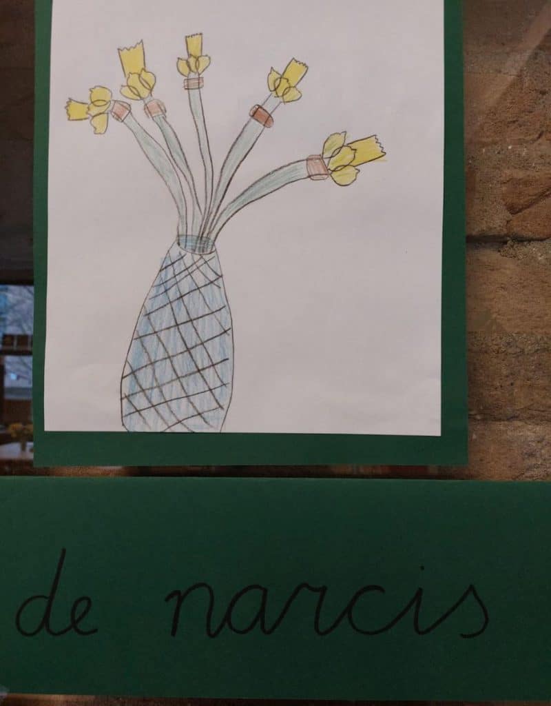 narcis tekenen, stilleven bloemen