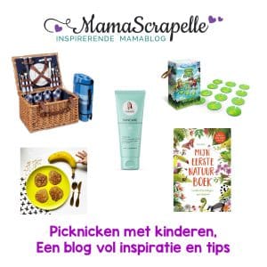 Overzichtsfoto picknicken met kinderen