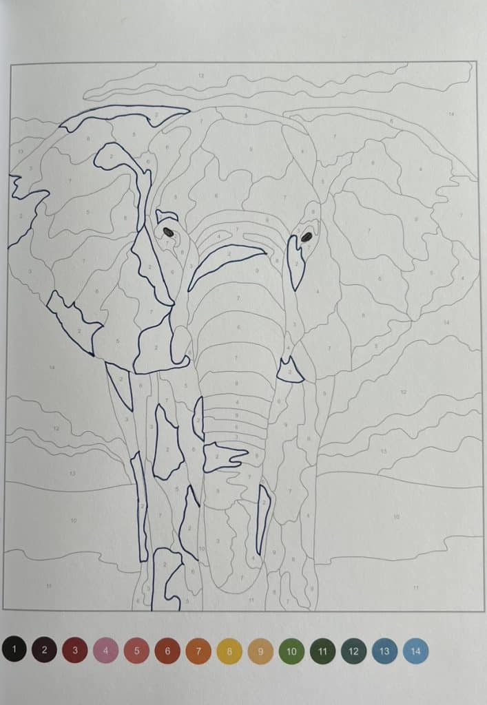 eigen creatie olifant inkleuren