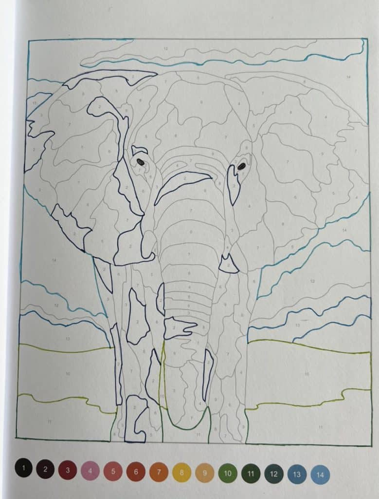 eigen creatie olifant inkleuren