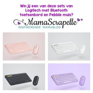 Space K380 and Pebble Space K380 and Pebble toetsenbord en muis