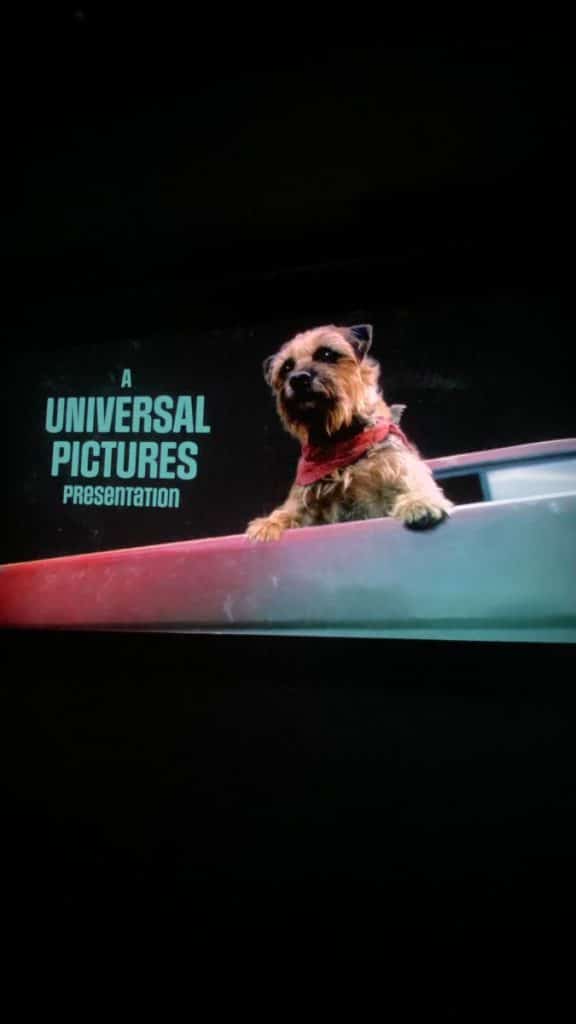 hond film universal