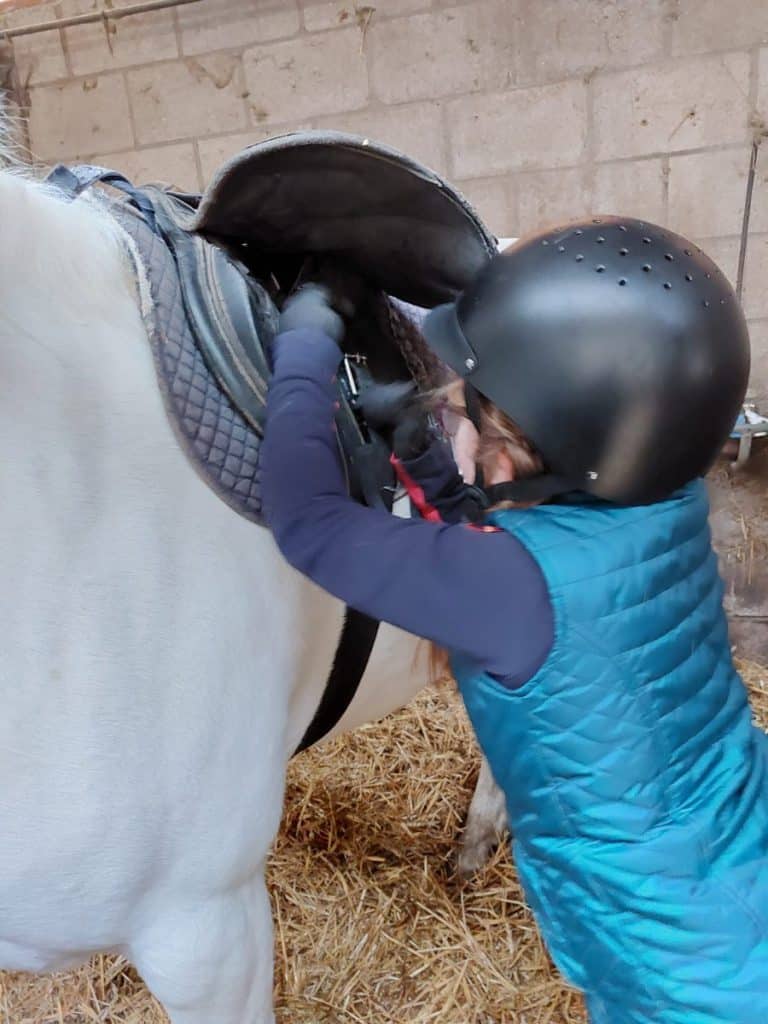 aansingelen pony