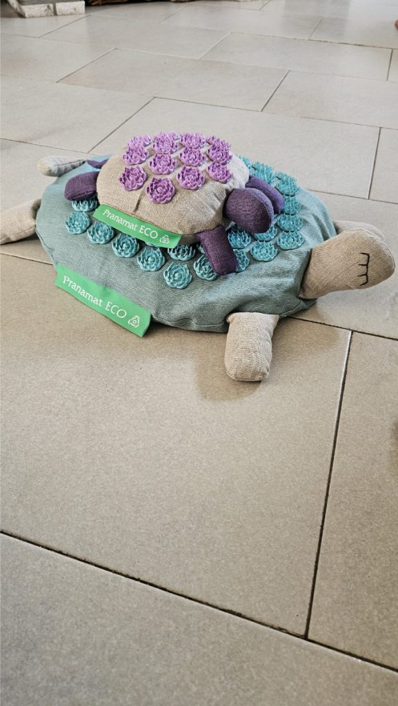 Pranamat turtle aanbieding (1)