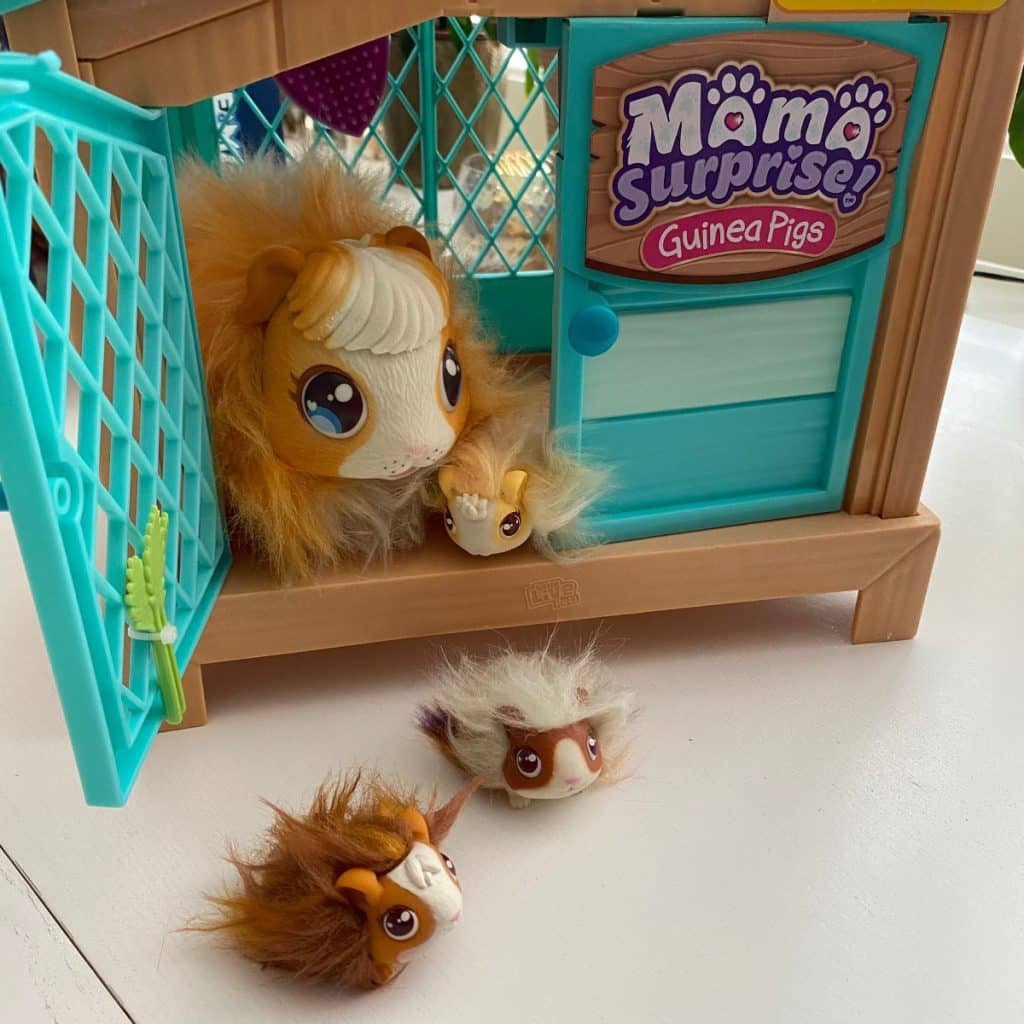 Mama Surprise Cavia speelgoed huisdier